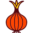 Onion 