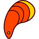 mexilhão 