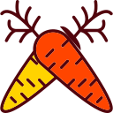 zanahoria icon