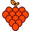 uvas icon