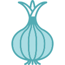 cebolla icon