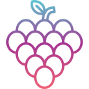 uvas icon