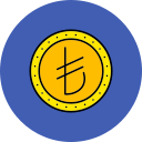 lira turca icon