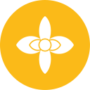 Hoya 