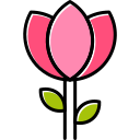 Tulip