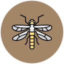 mosca del dragón icon