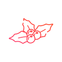 acebo icon