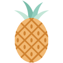 piña icon