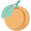 naranja icon