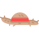 sombrero icon