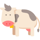 vaca icon