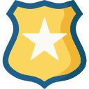 insignia icon