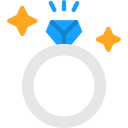 anillo icon