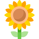 girasol icon