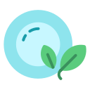 eco icon