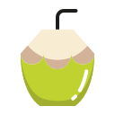 bebida de coco icon