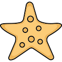 estrellas de mar icon