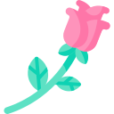 rosa icon