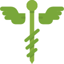 caduceo icon