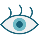 ojo icon