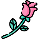 rosa