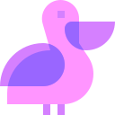 Pelican 