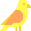 krähe 