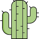 cactus icon