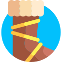 bota icon