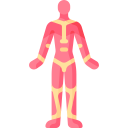 muscular system icon