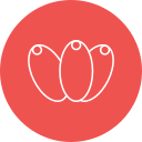 oliva 