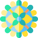 mandala icon