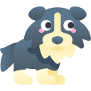 border collie icon