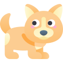 corgi icon