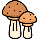 hongos icon