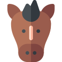 caballo icon