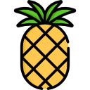 piña icon