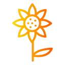 girasol icon