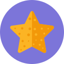 estrella icon