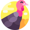 pavo icon