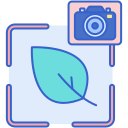 photogprah icon