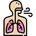 sistema respiratorio 