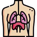 sistema respiratorio 