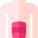 abdominales icon