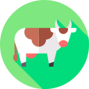 vaca icon