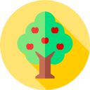 Árbol de frutas icon