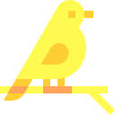 pájaro icon