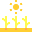 luz del sol icon