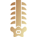 Columna vertebral icon