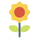 girasol icon